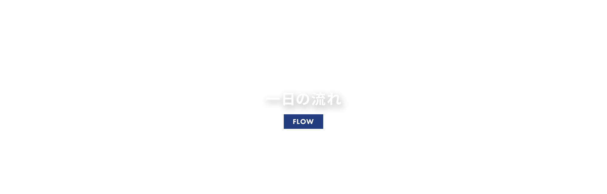 1日の流れ